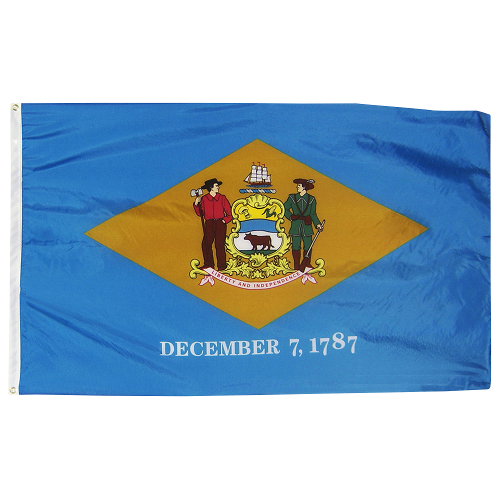 Delaware State Flag Poly
