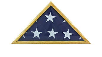 Memorial Cases