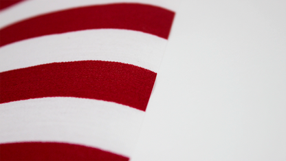 U.S. Stick Flag Cotton 1 X 1.5 ft No Sew 5/16 in X 30 in Natural Wood Staff Gold Spear