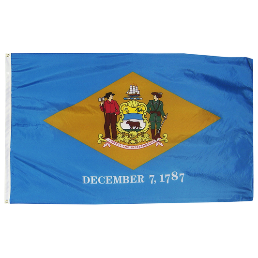 Delaware State Flag Poly