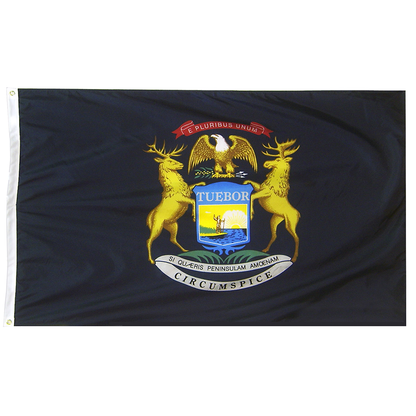 Michigan State Flag Poly